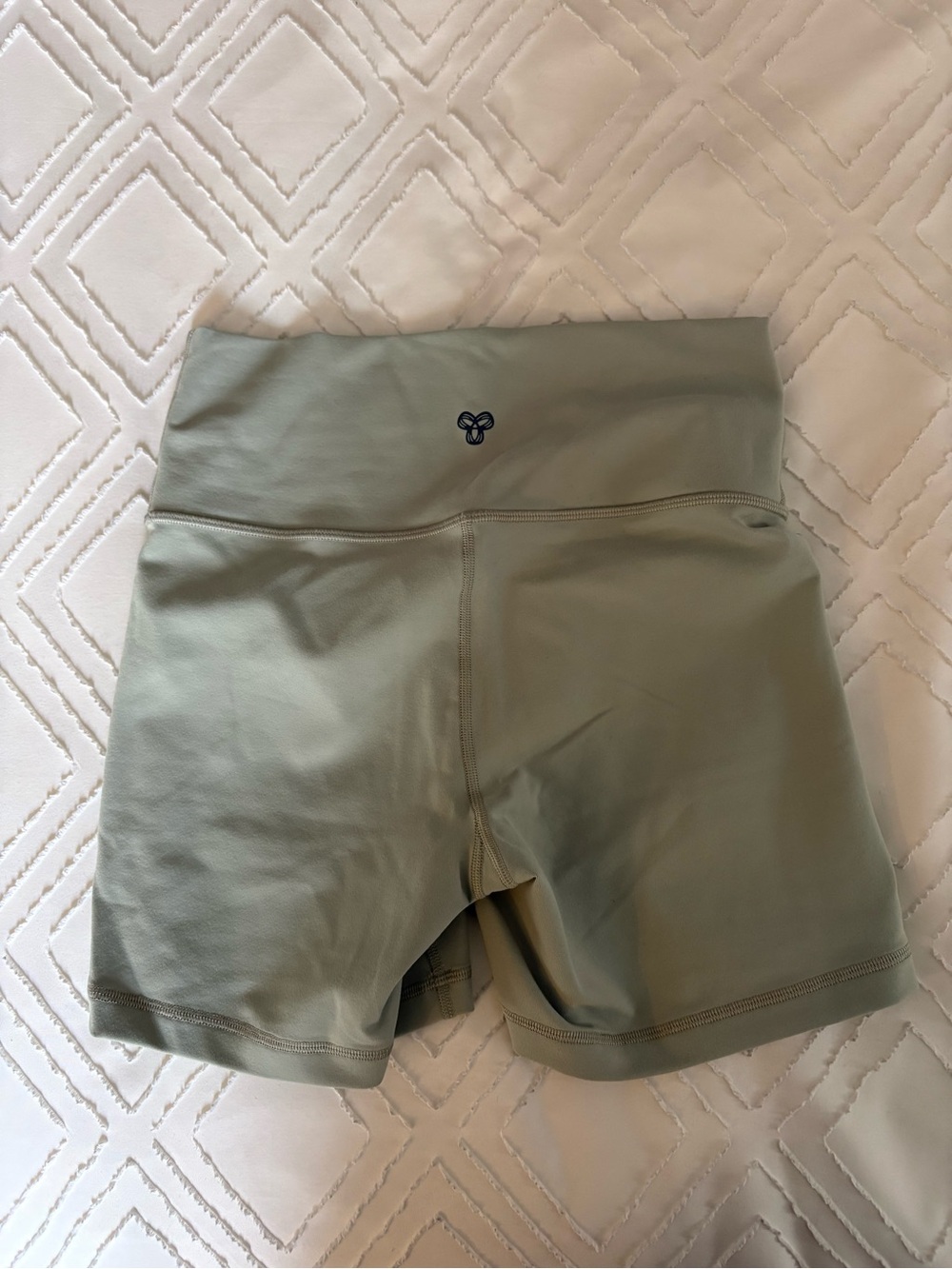 Aritzia TNA atmosphere shorts